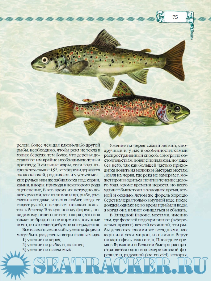 Рыбалка - Сабанеев Л.П. [2014, PDF] › Marine Tracker