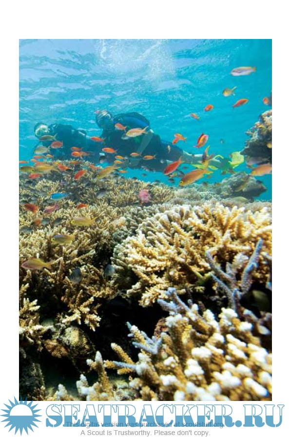 Scuba Diving (Merit Badge Series) Boy Scouts of America [2011, PDF