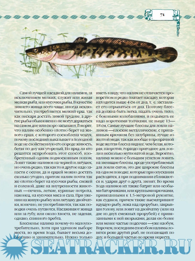 Рыбалка - Сабанеев Л.П. [2014, PDF] › Marine Tracker