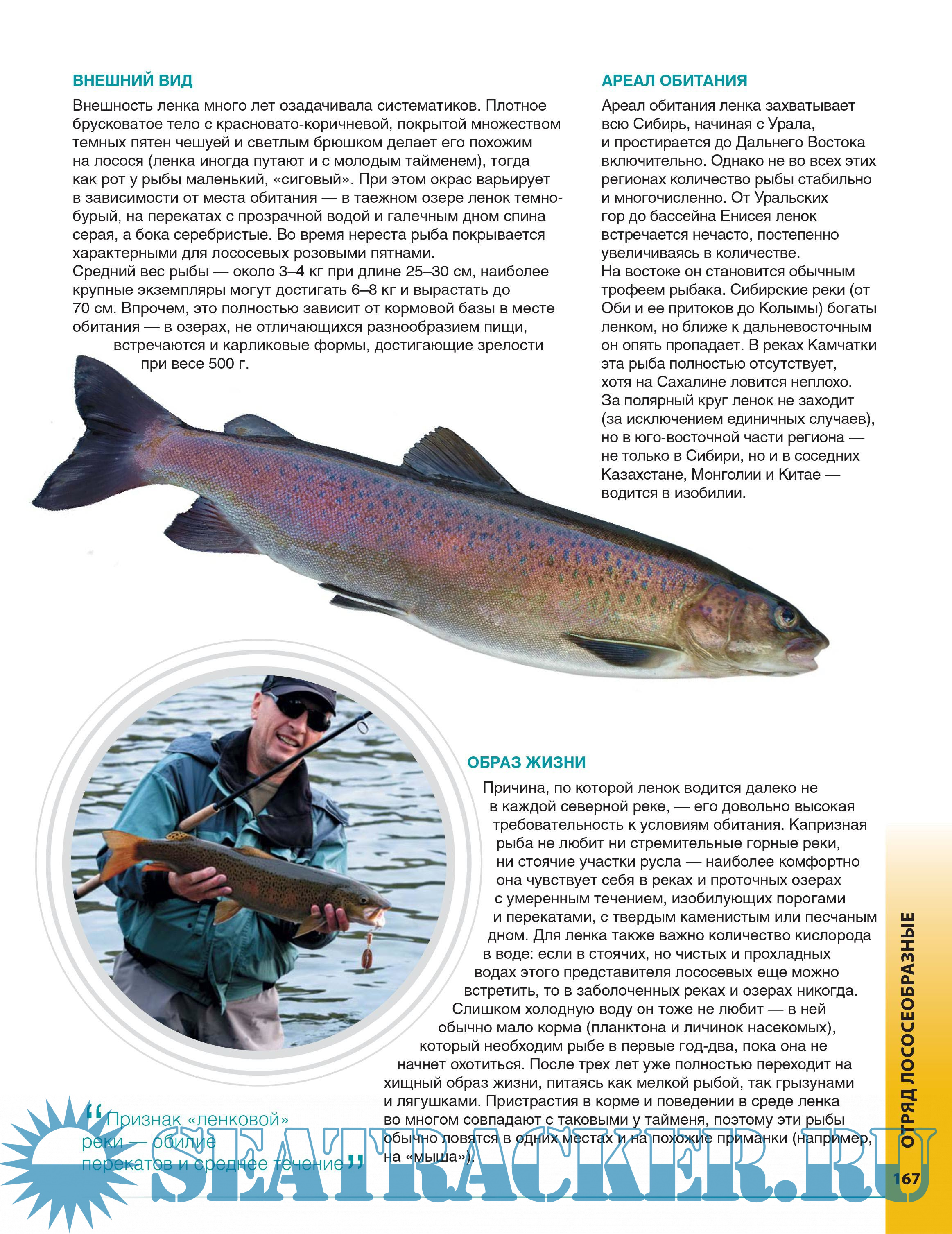 рыбалка энциклопедия рыболова 25